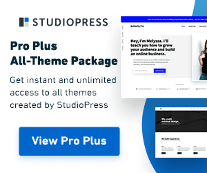 ProPlus300x250